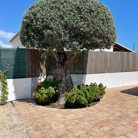 Ben - Private Pool Garden, Sun Day Albufeira